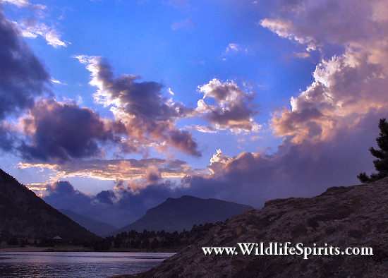 Click Picture to send as an  E-PostCard 51k 550x394